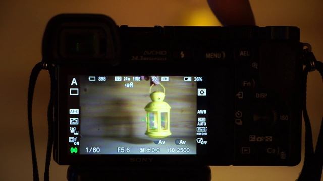 Sony Alpha 6000. Фазовая непрерывная фокусировка