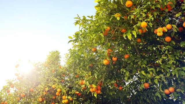 Стройка Дизайн