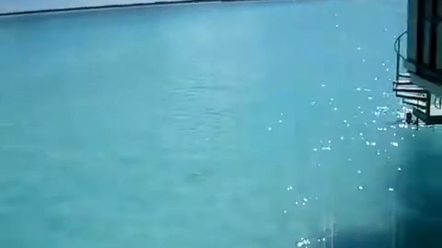 4360fd67f69c796c37c5bd47e56d116b