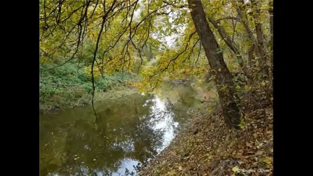 Олена Серпень 