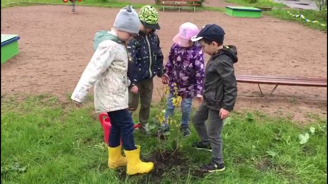 КД Медиагрупп