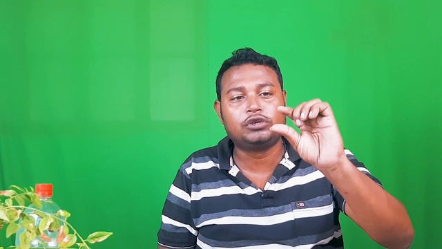 কিভাবে আমরা কুন্দ ফুল গাছের পরিচর্যা করব/ How To Grow Downy Jasmine Plant At Home.