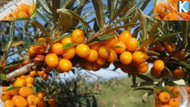 2d9da9c4c7cf5b19485e64df4a7f3c26