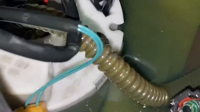 Уборка: лучший подарок для дома