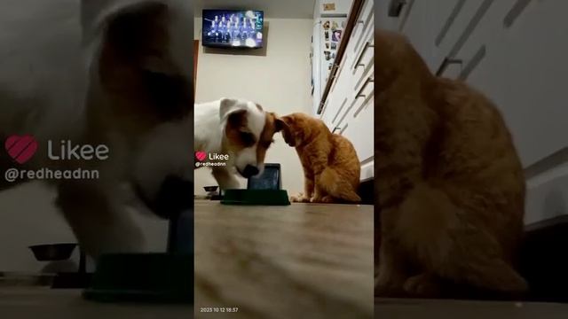 178efda39fec324817694c4f7ae167e0