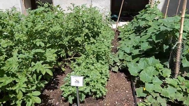 Харрисбург - столица Пенсильвании / Harrisburg Capital Of Pennsylvania. Интересные места США.