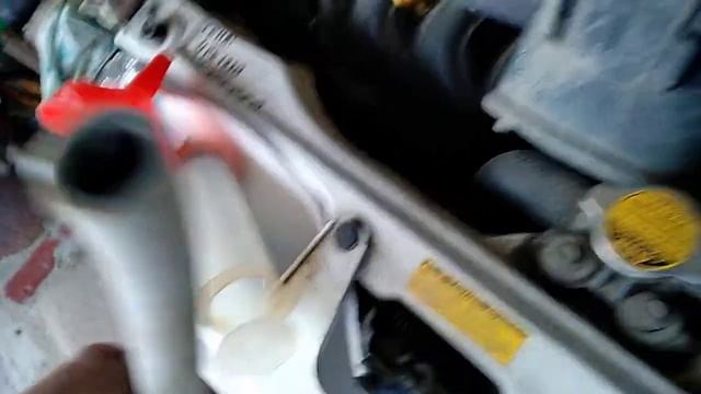 Бойцы и войны