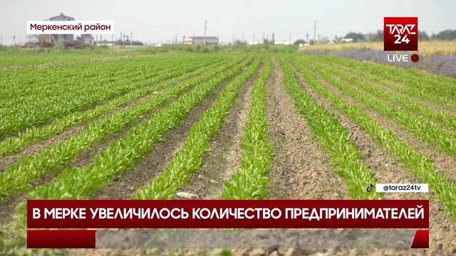 Искусство сохранения