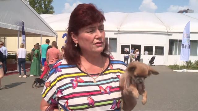 В Казани прошла международная выставка собак