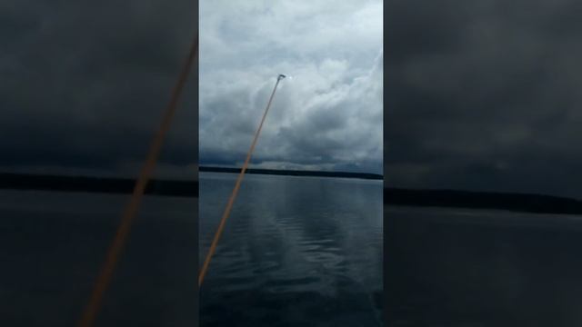 Рыбалка в Мышкине. Ноль)))