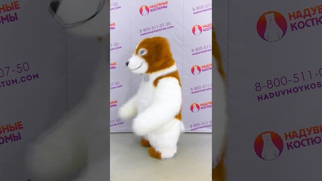 Надувной костюм Собачка / ростовые надувные куклы для аниматоров