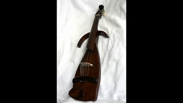 Electric Violin-2