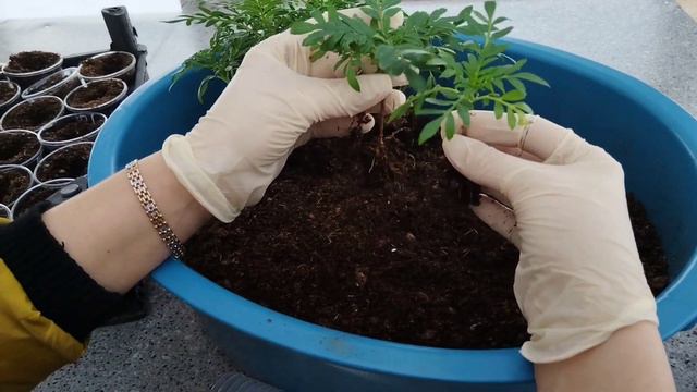 1ce45c54279d4b192bade01967d53f96