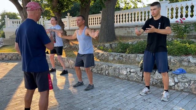 Ицюань / Кёкусинкай (907 день-1) Столбы / Три базовые Шили / Правка деталий и тесты усилий