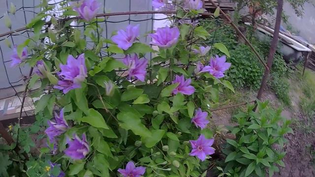 332a2371d35291f58fbf871d92b32592