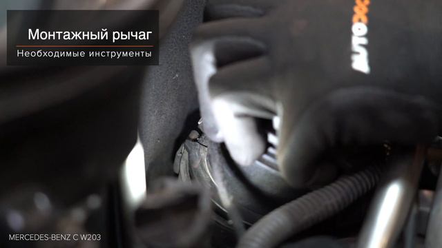 Маша Тарасенко