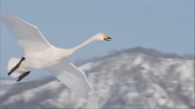 70625ee804a00e8da6cc30c339141c47