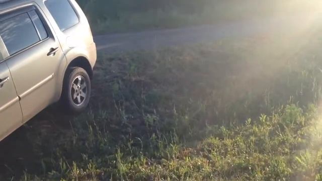 Honda-специализация