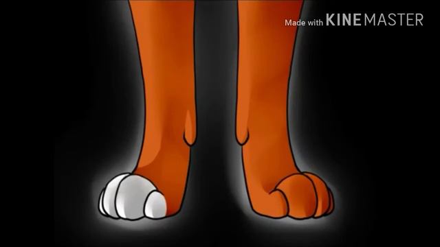 F10946591e9239629f5e94dc8a6c9a87