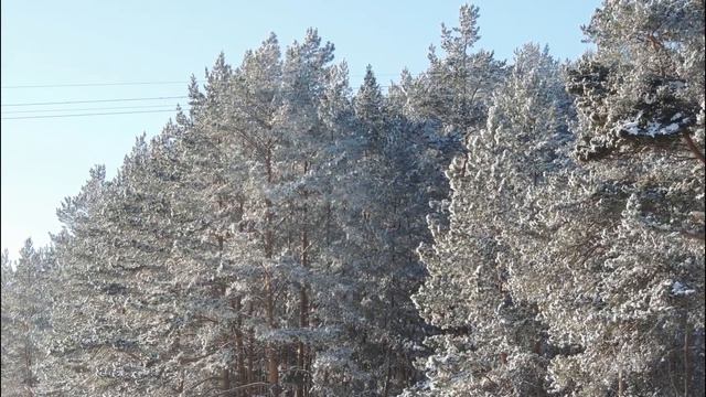 Оркестр УГМУ Сонатина №3 (В. И.  Елецкий)