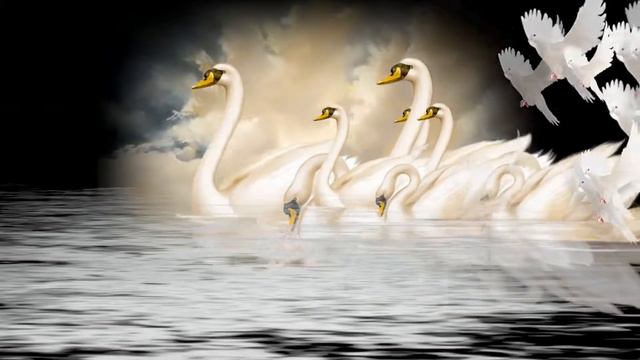 романтическое настроение. музыка Https://promodj.com/phoenix-records
