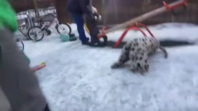Ваня... С Горы без Сапог!- Не каждый бы смог...