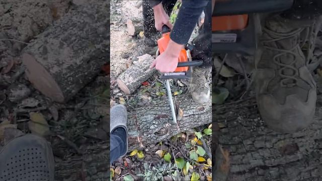 B9b37e3ec637de6d901f7b14f33ab9dc