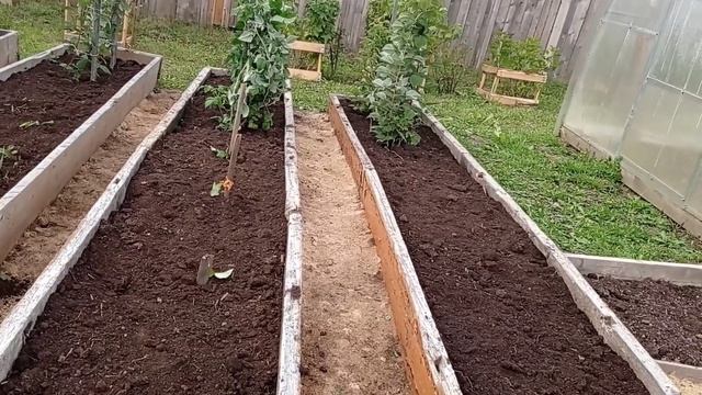 Как правильно использовать опилки на малине. Подготрвка малины к зиме.