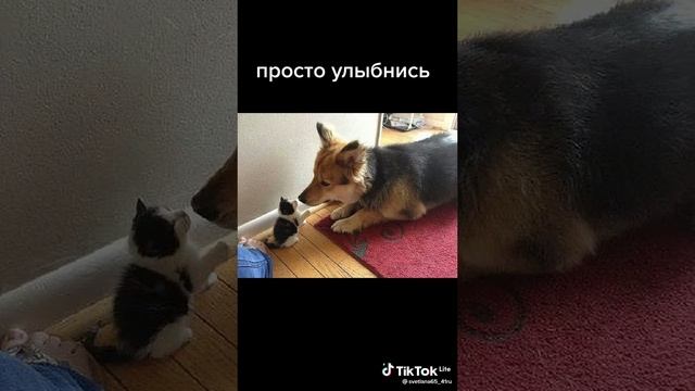 3cb015fb0d4862aab0e84ab22ed929df