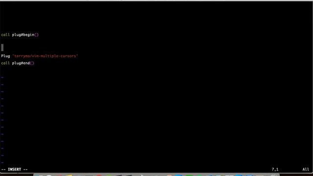 Docker + Vim : Install Plugin