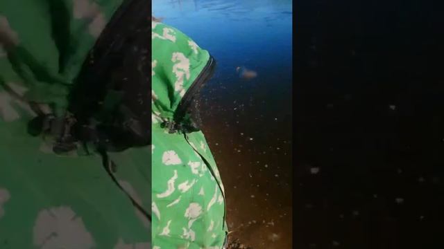 Готовка с Использованием Оригинальных Ингредиентов