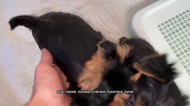 Всем привет! Забрала посылки. Показываю что заказала.