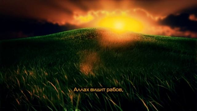 Abu Aws | Сура 3. Семейство Имрана (Ali 'Imran) 14-18