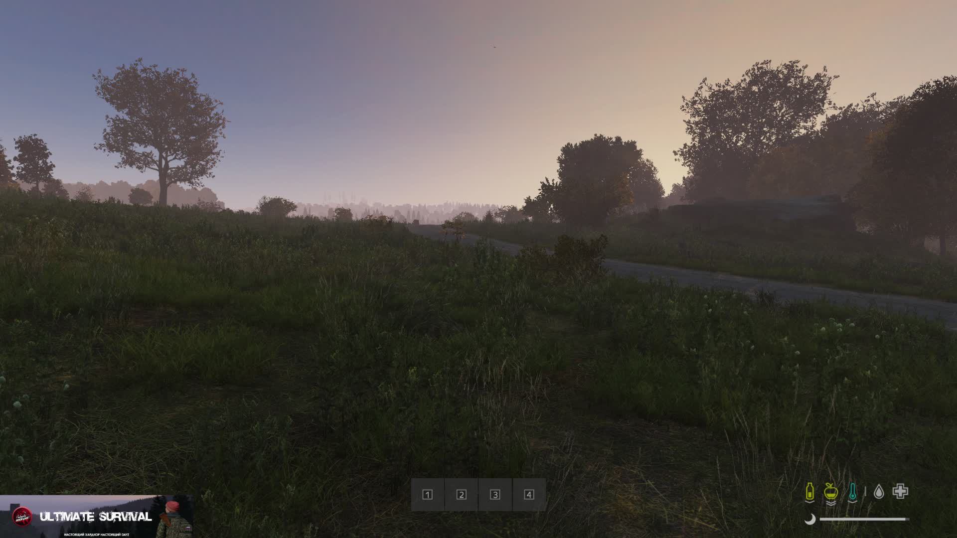 Прямая трансляция с сервера Dayz ULTIMATE SURVIVAL ВЫЖИТЬ ЛЮБОЙ ЦЕНОЙ