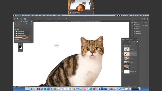 HOW TO CROP FURRY ANIMALS IN PHOTOSHOP AND MORE - Photoshop's Dad