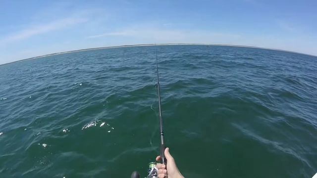 Aubut Rods - 7' 12-25# Medium Heavy Kayak Rod