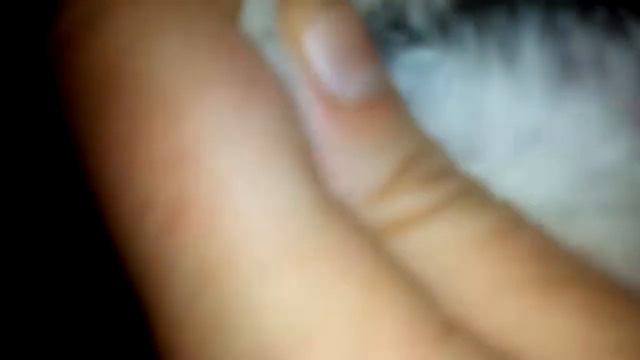 86a4c528be6b2fccbae39b8b9c53034e