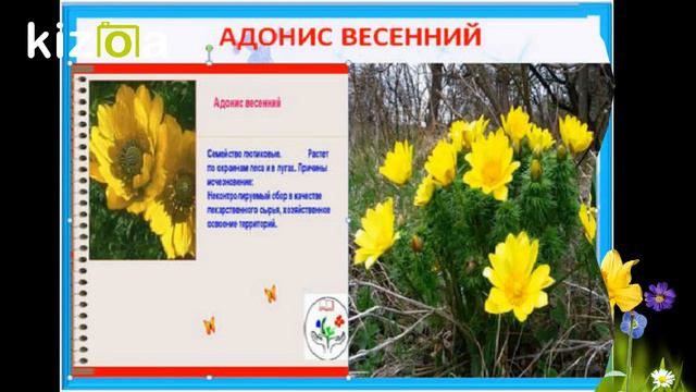 KIZOA Movie Maker Kuvr4tnz 1