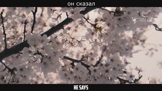 Чувство и Ум. Ислам