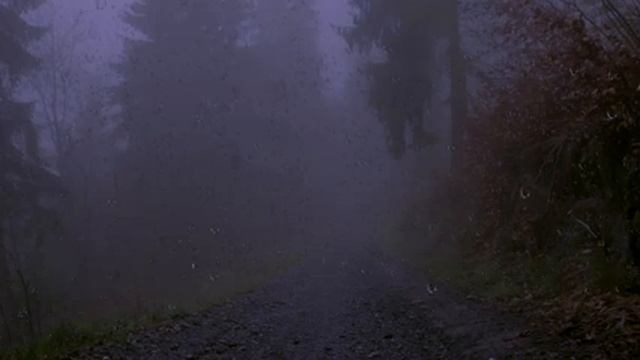 Звуки грозы и дождя. Сон под звуки дождя и грома. Райское наслаждение!