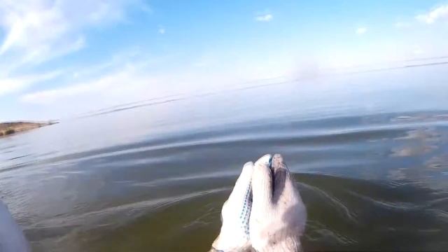 Казахстан, озеро Жаксы-Жангызтау, ловля раков