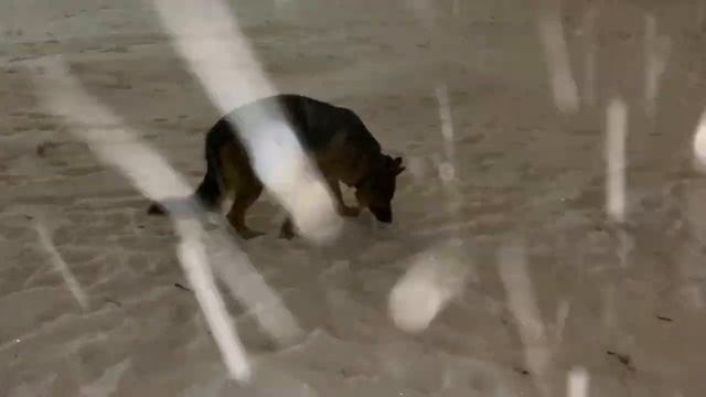 4a523235cf4a8141543943dc729d2fd5