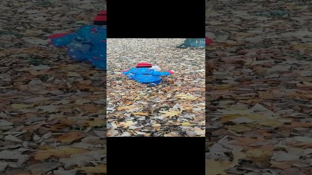 84ed4b7de67d39134579096231edb72d