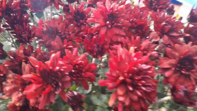 959bb212c6ac02d710d2dabf0a143184