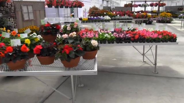 2013 Spring Trials: Benary