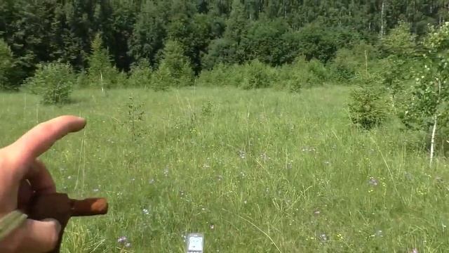 Находки у заброшенного кладбища  Поиск монет