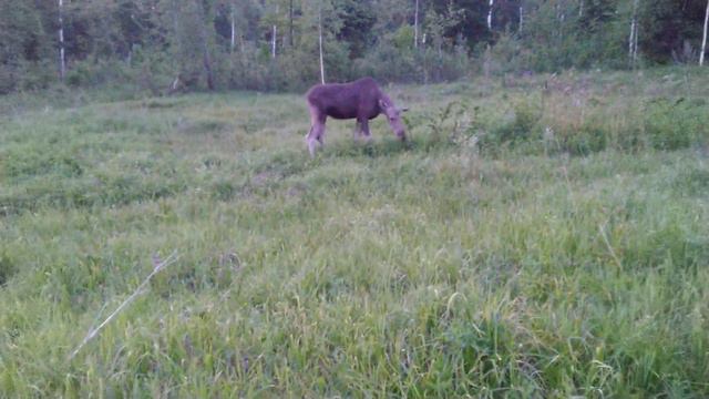 8a34bc4b700902017aa2b2b799904a9b