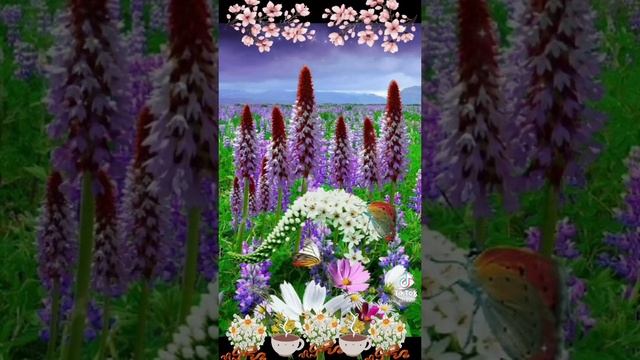 2ed2c36e3122a3e4e5373f18afb84909