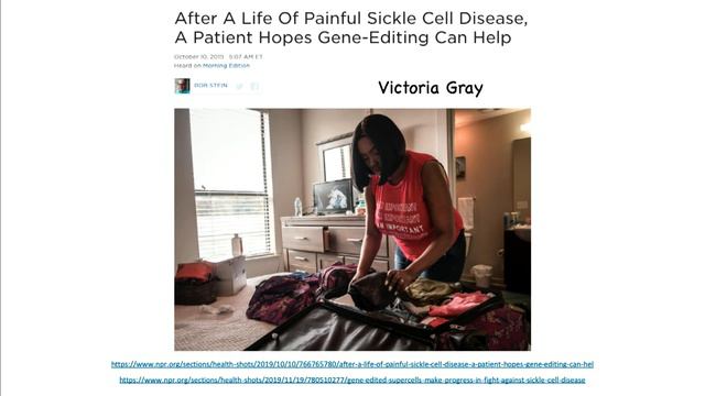 Dana Carroll: A View From The Edge