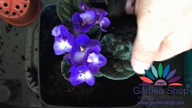 3738df8a4621af2baf6cb539ae971083